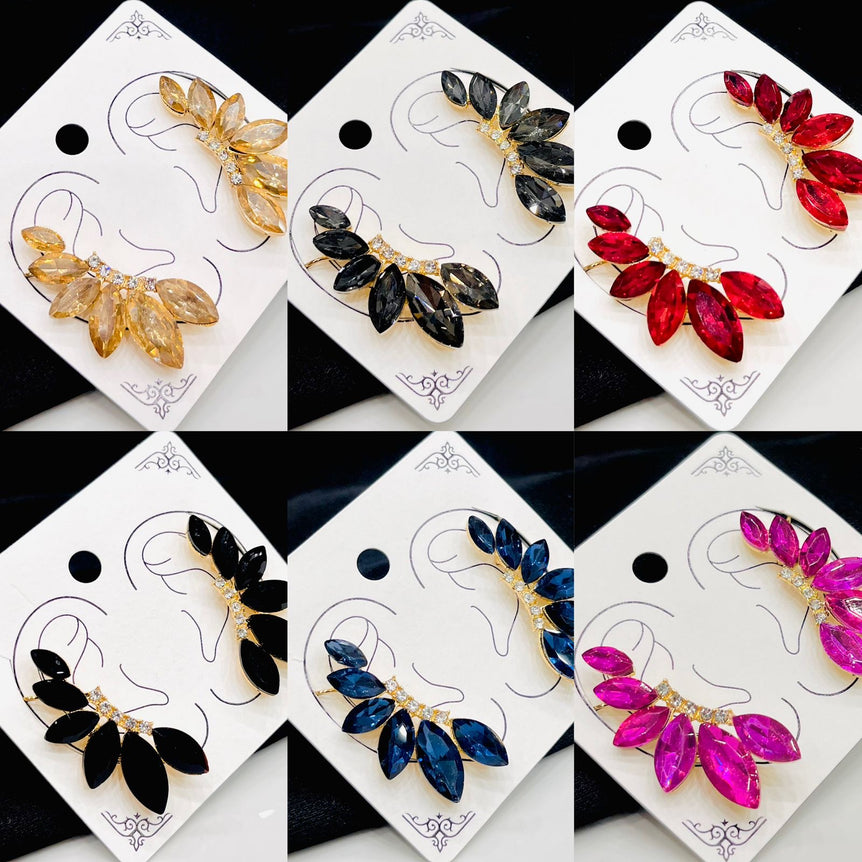 Multi Color Earings