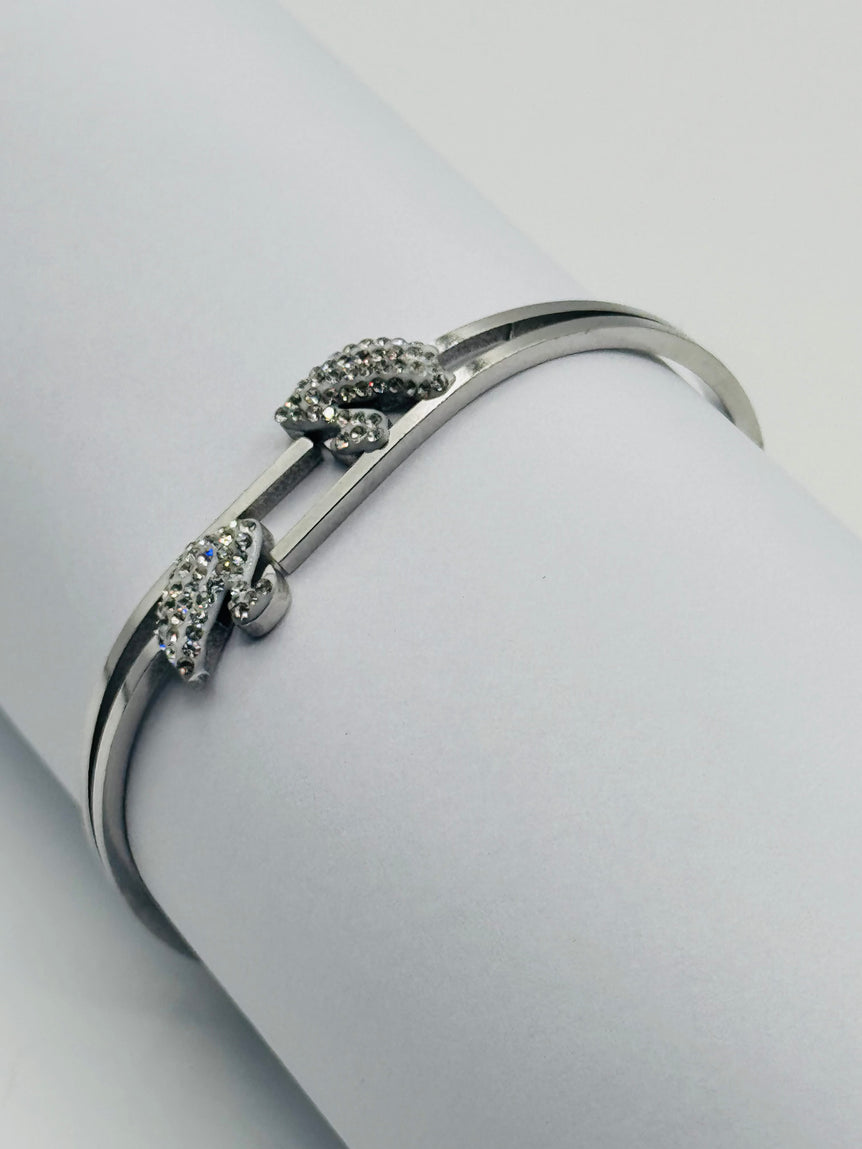Silver Duck