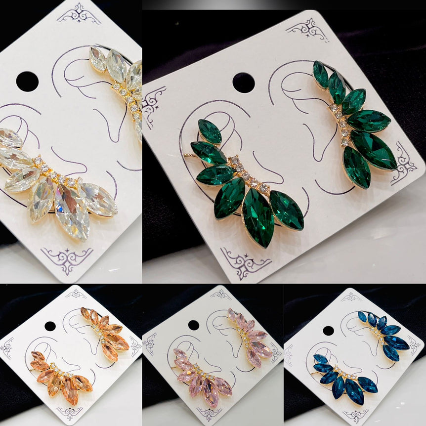 Multi Color Earings